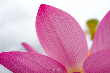 083383CC-65DF-406D-AE35-FFC1A23C0974/L0/001