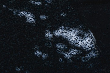2F724426-C8D3-48A8-934B-00F1B75C3D0D/L0/001
