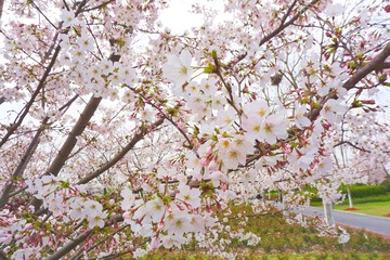 4029F5D6-324B-472F-AE99-DCD6505DF54B/L0/001