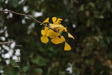 IMG_20191206_205933