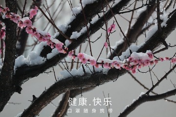 IMG_20200125_144943