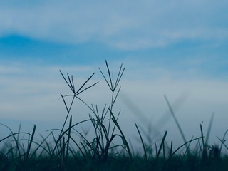 AA60DC30-5F75-49F6-AC51-581D8978016A/L0/001