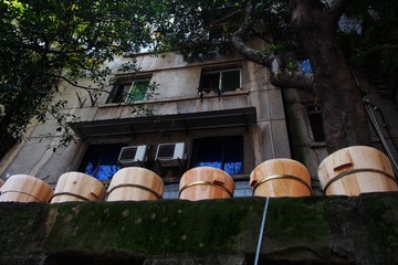 P1010053_