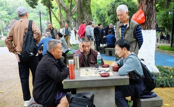 DSC_0110_副本_副本_副本