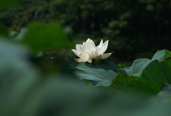 DSC00017_副本