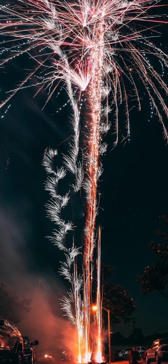 人望山鱼窥荷814