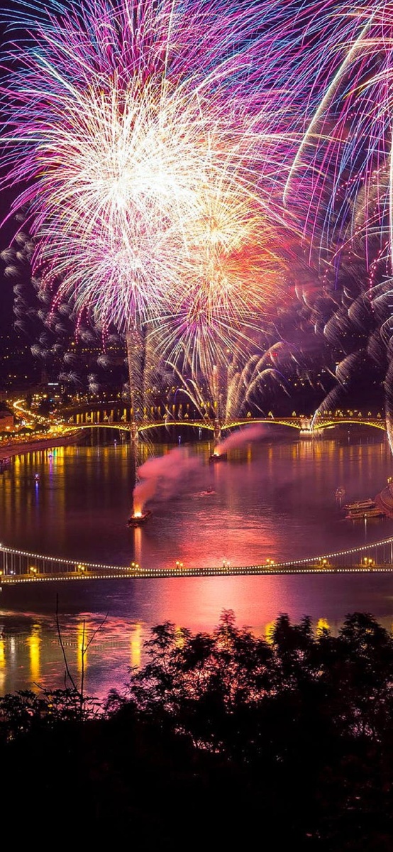 人望山鱼窥荷814