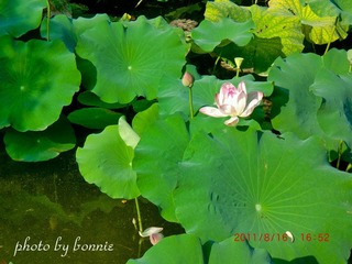 CIMG5338_