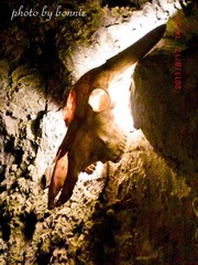 CIMG5518_