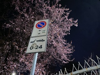 3DF85955-CF24-4CD7-9684-0CA8A7F556CA/L0/001