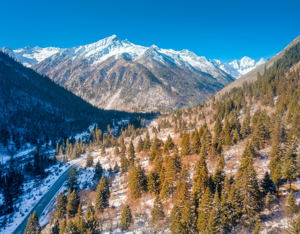 中国四川阿坝州黑水县达古冰川原始森林雪景