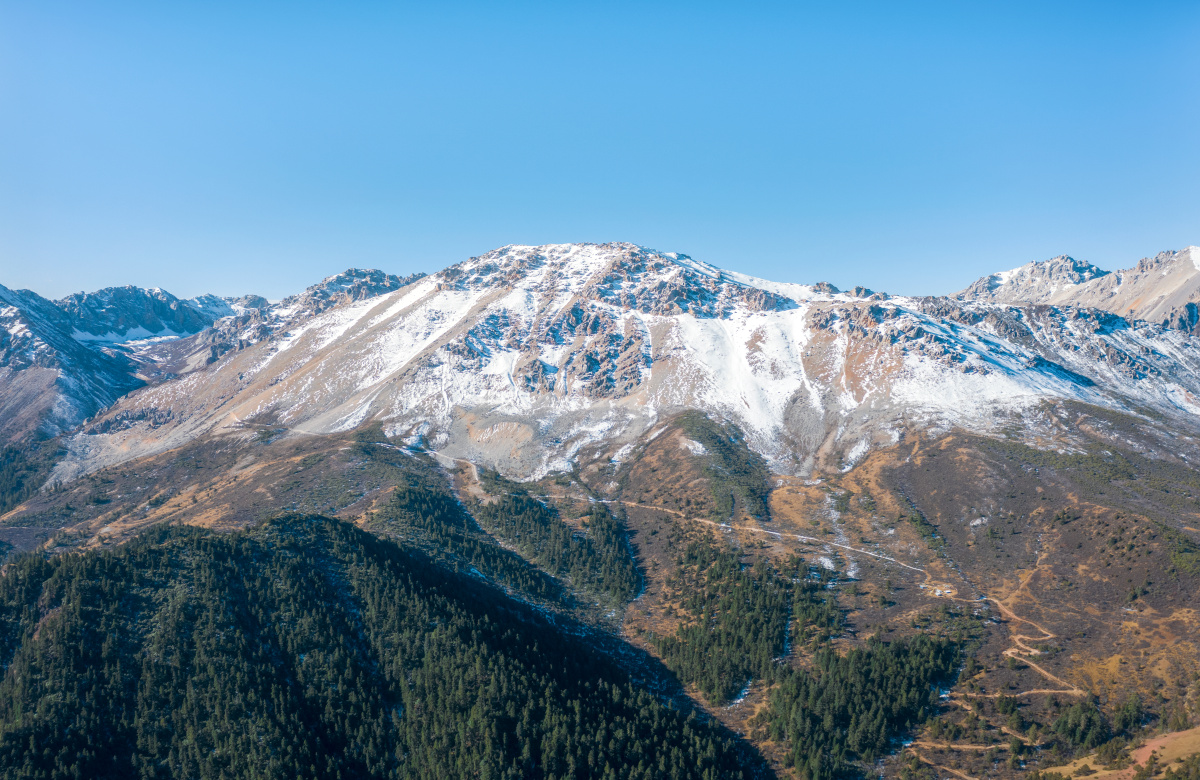 航拍四川甘孜州高原雪山森林全景自然风光