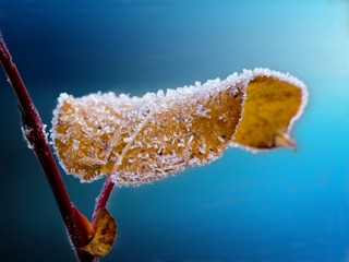 77620D65-2024-4358-BD3E-7C8AD134DBCE/L0/001