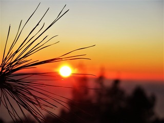 02A8B497-0BFE-435C-AC92-05B3536E775A/L0/001
