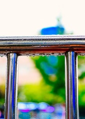 20150509-IMG_9827-2
