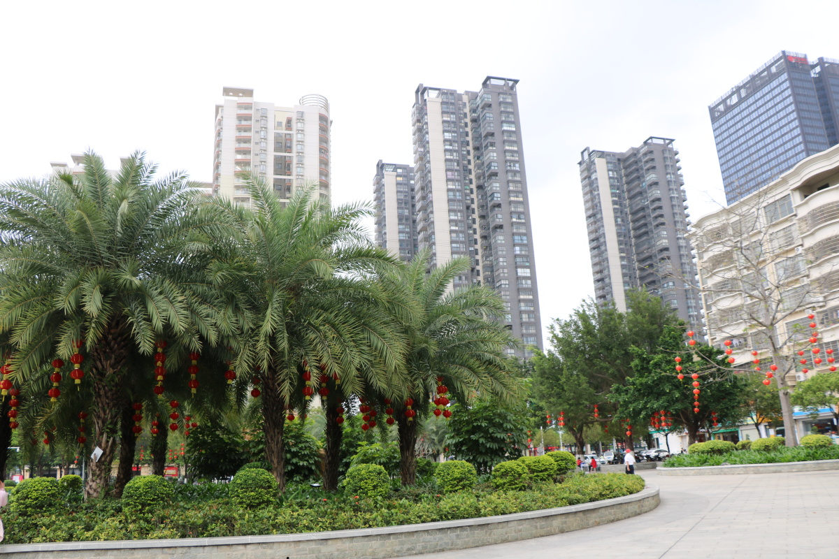 茂名市南香公园景观