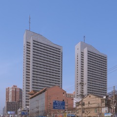 曹杨00011