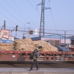曹杨00015