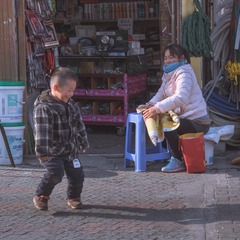 曹杨00020