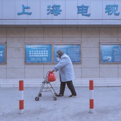 曹杨00024