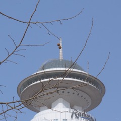 西藏南京00009