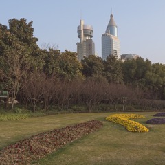 西藏南京00014