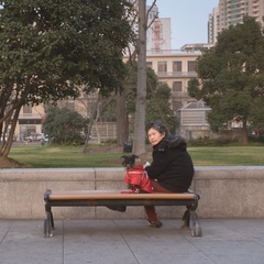 西藏南京00015