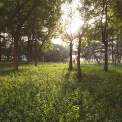 西藏南京00025