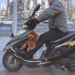 西藏南京00039