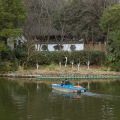 鲁迅公园00020