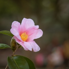 鲁迅公园00031