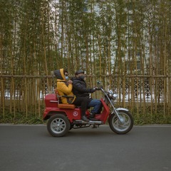 鲁迅公园00032