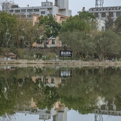 鲁迅公园00036