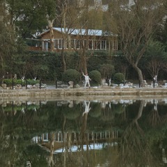 鲁迅公园00037