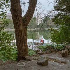 鲁迅公园00041