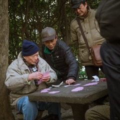 鲁迅公园00042