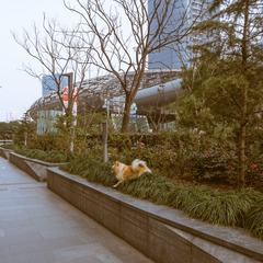 五角场00033