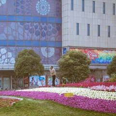 五角场00041
