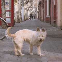 复兴中路00003