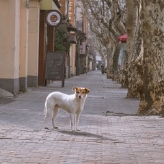 复兴中路00014