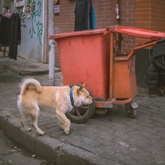 金陵东路00030