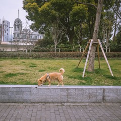 金陵东路00038