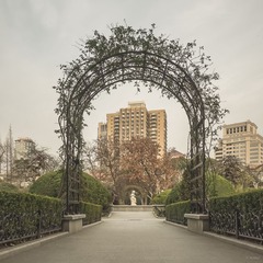 复兴公园00033