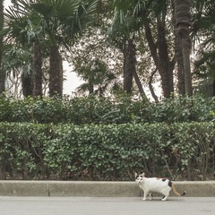 复兴公园00072