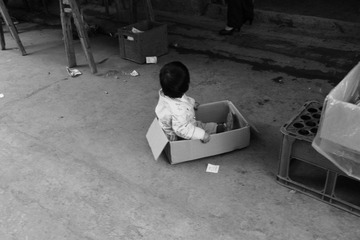 L1003317.JPG