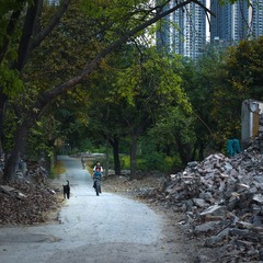 L1003633-1.jpg
