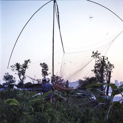 10020.jpg