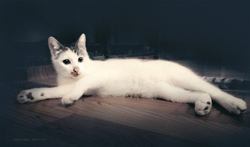 IMG_20161113_225948R~