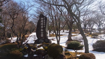 1267381
