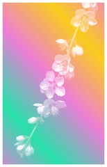 E9F44A26-8865-423C-9B09-8620BD54137F/L0/001